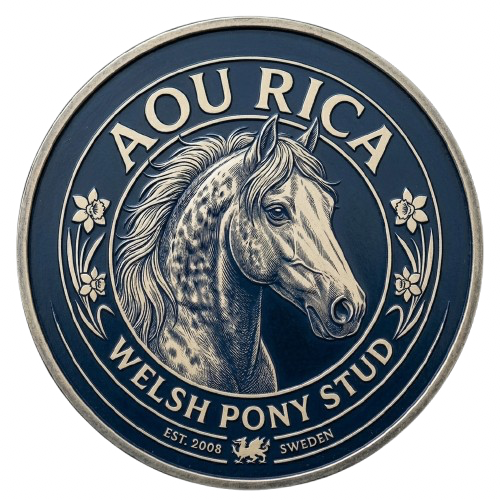 Aou Rica